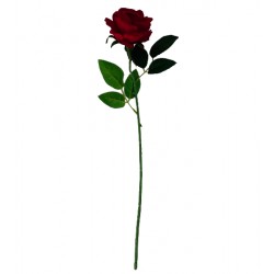 Fir de trandafir 50 cm